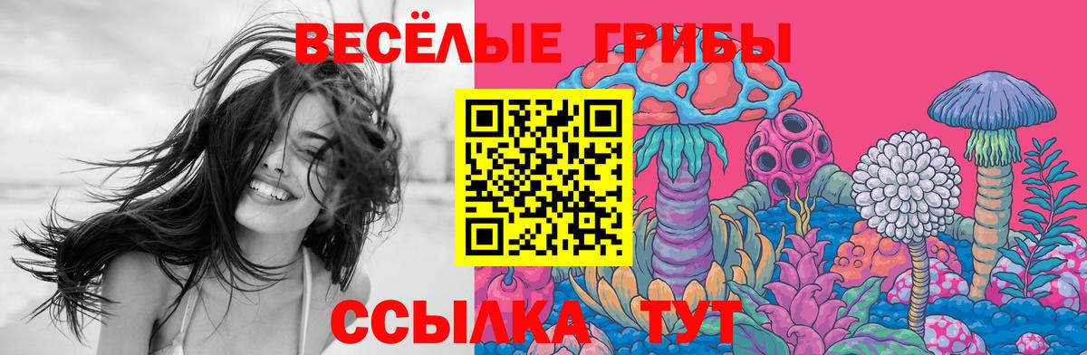 даркнет сайт  Галлюциногенные грибы ЛСД  Вход с VPN  Псков 